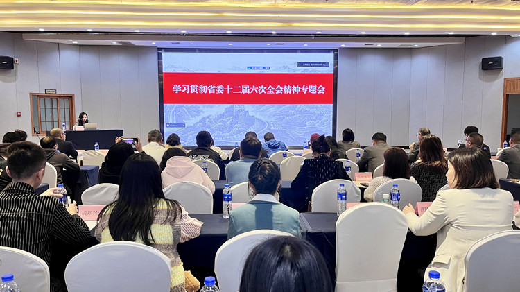 我省小額貸款公司線(xiàn)上學(xué)習(xí)貫徹省委十二屆六次全會(huì)精神視頻